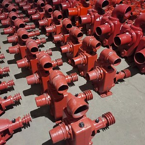 [Hot Item] Ns80 Ns100 3inch 4inch Self Priming Water Pump