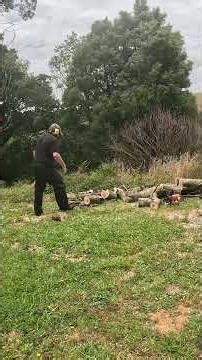 Quick Timelapse Farmer Turns Fallen Tree into Firewood