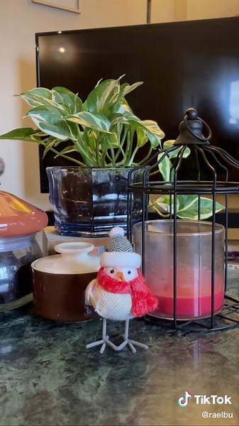 Seasonal Bird Army Collection at Target 2022