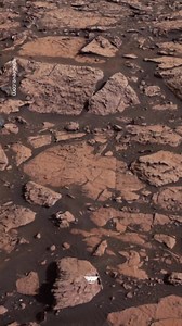 86K views · 74 reactions | #Repost @thebrainmaze Experiencing this...