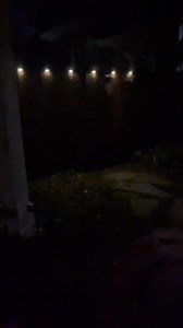 180K views · 689 reactions | The difference a few small solar lights can make  https://bit.ly/3wmLQSY | Amazon Home | Facebook