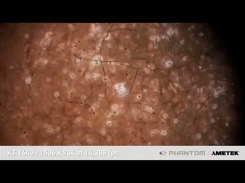 Flash Bulb Explosion in Color