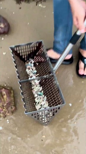 Beach Cleanup Treasure Find – Shells & Dead Coral Everywhere! #treasuresearch #beach