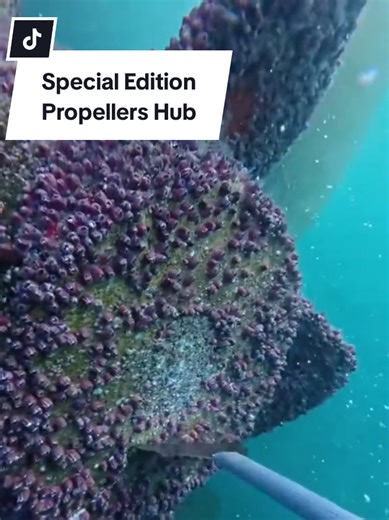 Scraping Barnacles from Special Edition Propellers