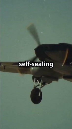 The Rise and Fall of the Zero: Japan’s Legendary WWII Fighter