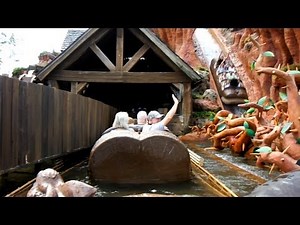 Splash Mountain, Magic Kingdom, Walt Disney World Orlando Front Seat