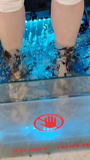 Dr Fish Spa Benefits unlimited ll #india #spa #shorts | The Nick Roy Officials