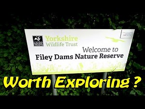 Exploring Filey Dams Nature Reserve