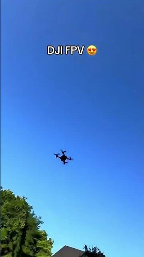 HOW FAST DJI FPV FLYING ?