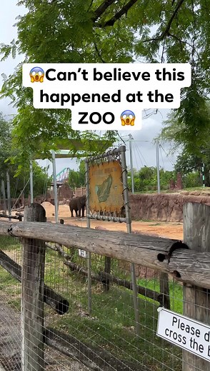 Elephant fail #reels | Guesscorrect