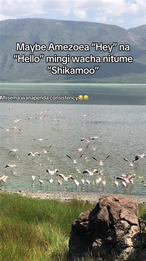 Understanding Greetings in Kenyan Culture