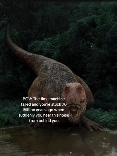 The t-rex the most infamous predator the world has ever seen it is now assumed that instead of the typical roar you hear in the media the the t-rex mad saw frequency rumbles that you would have been able to feel instead of hear #oldearth #prehistoric #horror #trex #dinosaur #tyrannosaurus #extinct #sounds #scary #cretaceous #viral #foryou #fyp
