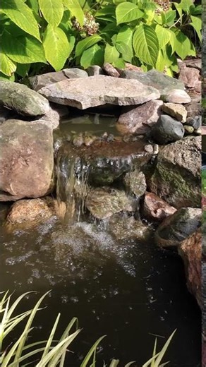 Koi Pond Filter Upgrade
