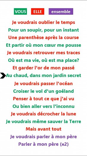 Apprendre le français avec des chansons ❤️🇫🇷 Céline Dion : Parler à Mon père | Prof Med Merzougui1