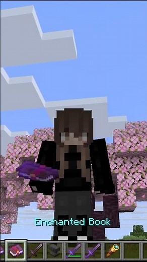 ⚔️ Smite 5 vs Sharpness 5: Which is the BEST Minecraft Enchantment? #Minecraft #SmiteVsSharpness