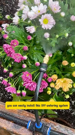 11K views · 108 reactions | Smart Misting System for Balcony, Yard, and Greenhouse | SRK | Facebook