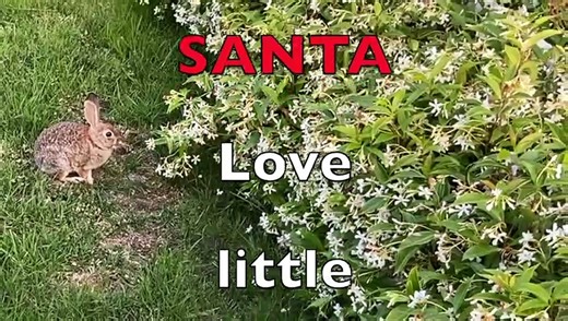 HOP & SING: SANTA HIRE ME!