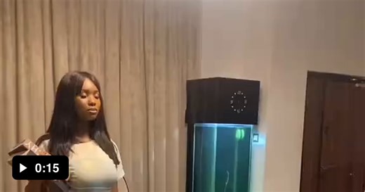 The Bust Subplot - Video