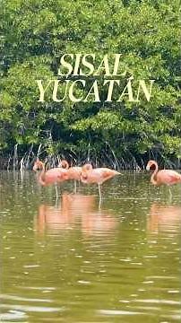 SISAL, YUCATAN: One of Mexico's most beautiful magical towns. #sisal #yucatan #magicaltowns