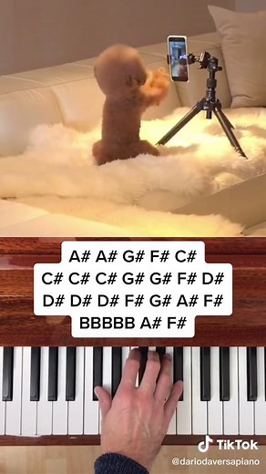 Learn to Play 'Boom Boom' on Piano with this Tutorial