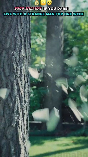 Watch https://dramabox.reelhunter.online/4396558592334905344...