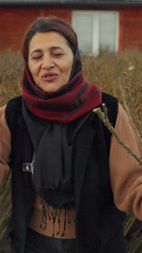 La Bloom Garden, trandafirii noștri nu sunt creați de AI - sunt 100% reali, vii și gata să-ți cucerească grădina! 🌷 Culori autentice, parfum adevărat, frumusețe naturală. 💚 ➡️ Te așteptăm la seră să-i vezi pe viu: 📍Dealul Dăii, DJ106, Sibiu, vis-a-vis de Bavaria 🔔 Luni - Duminică: 9:00-17:00 📲 Pentru comenzi telefonice: 0746 130 035 ✅ Pentru comenzi pe WhatsApp: 0746 130 057 💻 https://www.bloomgarden.ro/trandafiri | Bloom Garden - Arbuști, Plante Ornamentale, Bulbi și Rizomi