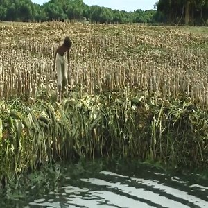 106K views · 539 reactions | Revisit the best action movie netflix 2024 | HunterX | Facebook