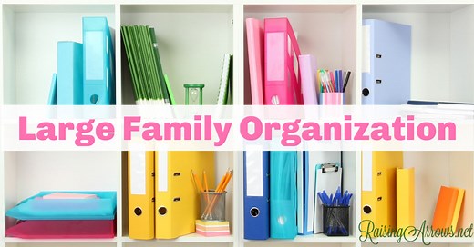 Large Family Organization