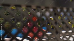Girl walking in garden view through holes in fence