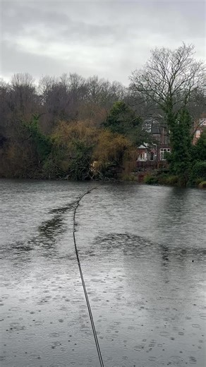 80 yards with a Bushwhacker! Tackle Tuesday 🎣 For everything inside that range, the Bushwhacker® Baiting Pole is about precision, stealth, and putting rigs exactly where you want them. ▪️ 15m pole made up of 10 x 1.5m fibreglass sections ▪️ Extendable and effective for accurate placement up to 45m ▪️ Fast-fit spring button locking for quick setup and pack down ▪️ Self-floating spoon with twin built-in buoyancy floats ▪️ Holds around 1kg of bait with no additional floats required ▪️ Internal lea