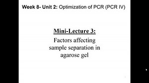 Mini-lecture 3_Factors affecting sample separation in agarose gel