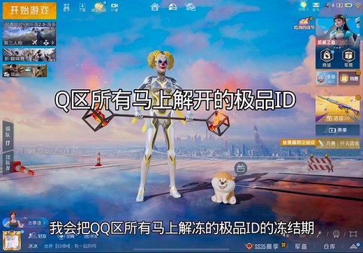 Q区所有马上解冻的极品单字ID分享