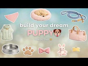Build Your DREAM Puppy | THIS or THAT 🐶💗✨