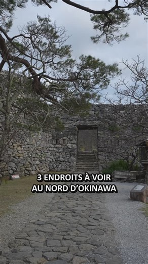 Ichiban japan on Instagram: "3 endroits à voir au nord d’Okinawa 🏝️ Sur l’île principale d’Okinawa-Honto, il y a bien sûr la ville de Naha, mais il ne faut pas hésiter à s’aventurer à travers toute l’île, qui est vaste : voici 3 recommandations au nord de l’île ! 📍Le château de Nakijin, une ancienne forteresse qui offre une superbe vue et propose un magnifique spectacle avec ses cerisiers en fleur dès fin janvier. 📍Le cap de Bisezaki, un coin charmant avec des petites ruelles dans lesquelles 