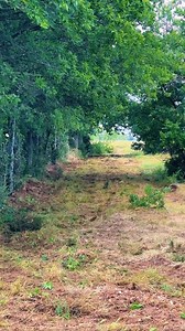 Preparing the next stretch #fence #barrerafence #netwirefence #goatfence #farmfence | fffenterprises