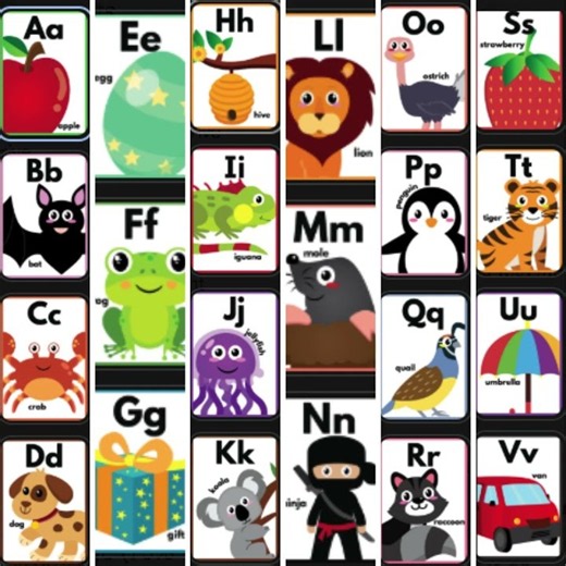 Smart 22 Ready to print Flash card
