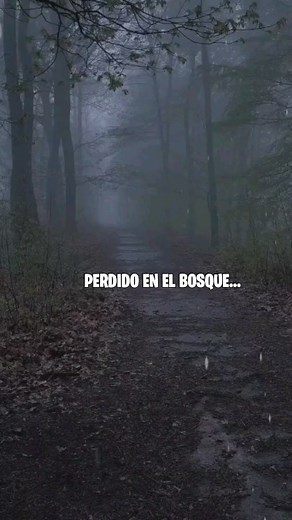 Estas perdido en el bosque... A quien salvarias? #reels #bosque | FrisModz
