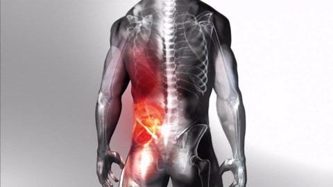 Amazon.com: TENS Unit by DR-HO’S — Full Body TENS & EMS Muscle Stimulator for Back, Neck, Shoulder, Sciatica & Joint Support — Deluxe Package with Electrodes, 24 Small Pads + 6 Large Gel Pads : Health & Household