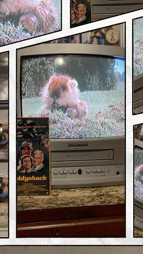 #tapetuesday with the classic comedy #caddyshack with #billmurray #chevychase #cindymorgan #rodneydangerfield and #tedknight #mikesdeadformats #ljn #galoob #filmation #vhs | Mike's Dead Formats