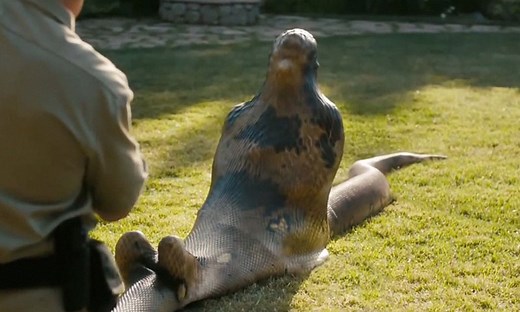 Giant Snake - "Anaconda Eats Man Alive"