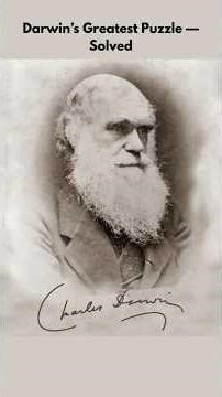 How Science Finally Solved Darwin’s Greatest Evolution Puzzle