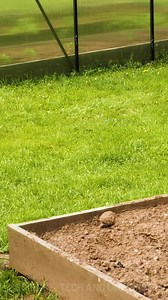 This Guy Is a Gardening Mastermind! | Science, Tech and Universe