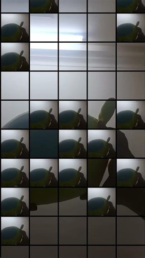 funny memes aaaaaaaa