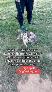 76K views · 592 reactions | Classes in Los Angeles almost every week! Also many seminars in other coties coming up! | The Dog Daddy | Facebook