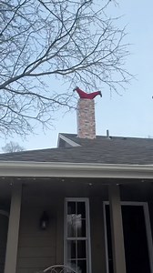 1.2M views · 11K reactions | Was the fire department called  He made santa a chinmet and put him on the roof! They neighbors thought it was hilarious | The Midwest Ladies | Facebook