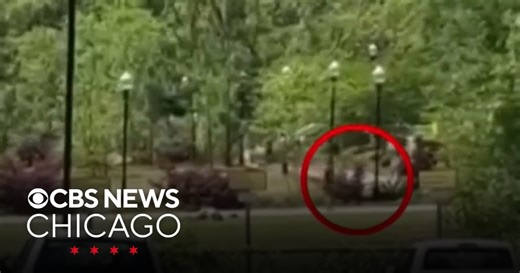 Video captures moment shots fired at Florida State University