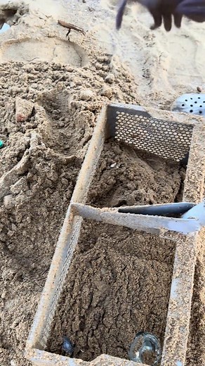 Crazy Beach Finds_ A Live Crab_ Rare Shell_ And Something SHOCKING_ _treasurehunt | Treasure Coast