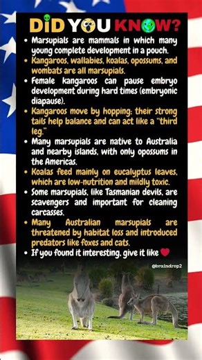 Marsupials are mammals in which many young complete development in a pouch.