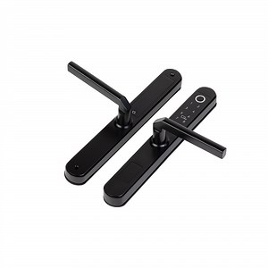 [Hot Item] Smart Home Apartment Tuya Bluetooth Biometric Fingerprint Password Door Lock