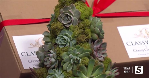 Classy Cactus Farm shows us their Christmas Tree Succulents